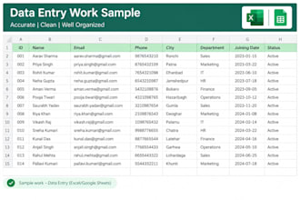 do accurate data entry and excel spreadsheet work