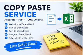 do data entry and copy paste tasks