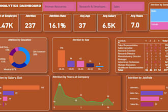 create a professional power bi dashboard