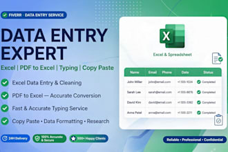 do data entry excel work pdf to excel typing copy paste work