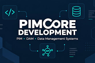 develop, customize and integrate your pimcore pim dam system