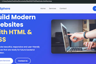 build a professional multi website development system