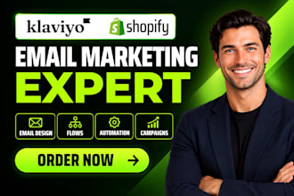 setup klaviyo email marketing klaviyo email design klaviyo flows, kalviyo expert