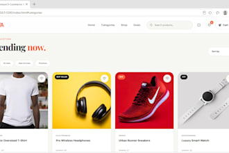 build a modern responsive ecommerce website