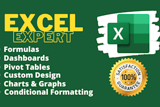 do excel data entry with advanced formulas, pivot table, graphs