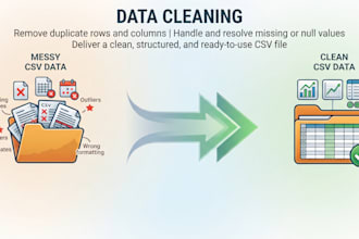 do data cleaning preprocessing and formatting in python