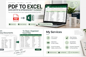 convert PDF to excel and clean or organize your spreadsheet