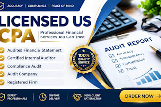prepare audited financial, financial statements, reporting, as licensed CPA