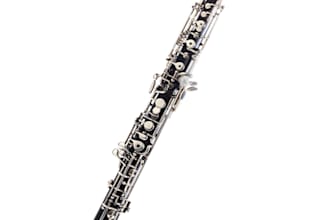 record recorder, bassoon, oboe, clarinet, english horn, and german woodwinds