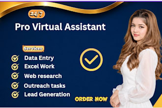 do data entry and web web research