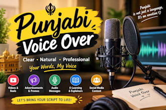 record a professional punjabi voice over for your video
