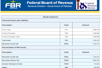 do professional income tax preparation and tax return filing