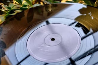 set up and clean your bandcamp or discogs music metadata and listings