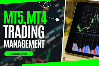 do account management, pass account challenge, mt4 or mt5 account management