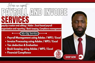 provide payroll, invoicing, bookkeeping and accounting services