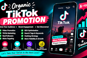 do organic tiktok promotion tiktok marketing tik tok video promotion followers