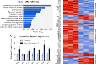 bioinformatics based ngs and ai driven data analysis