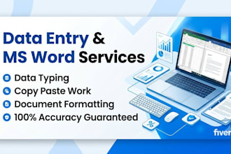 do professional data entry and ms word typing work