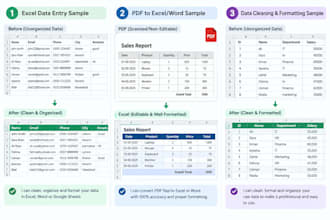 do accurate data entry, copy paste, web research and typing