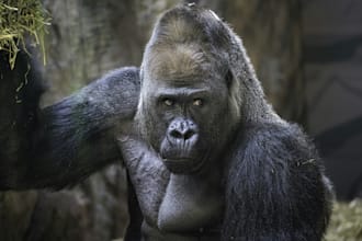 create a personalize uganda travel itinerary, trip plan 4 u