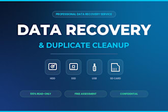 do data recovery, duplicate cleanup and recover deleted files on drives