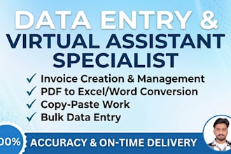 do accurate data entry, copy paste and invoice creation