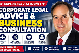 provide corporate legal advice and business consultation