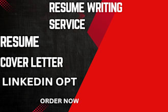 write a professional executive resume