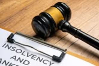 draft a professional civil right complaint