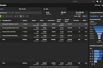manage your meta ads, tiktok ads and shopify store