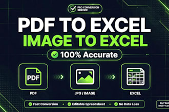 convert pdf to excel, image to excel, and do data entry