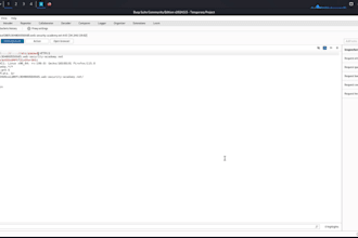 do penetration testing for your vibecoded website