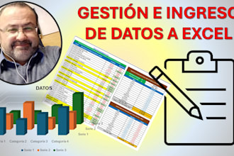 gestión e ingreso de datos en excel