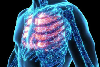 create a professional 3d medical animation and anatomy video