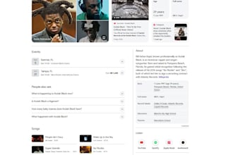 do google knowledgepanel for you
