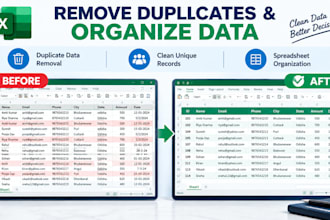 data entry and excel spreadsheet work