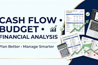 prepare cash flow forecast business budget and financial analysis