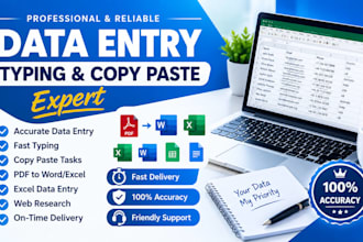 do accurate data entry, typing and copy paste