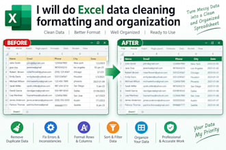 do excel data cleaning formatting and organization
