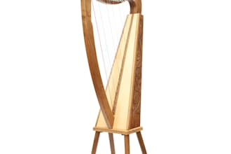record celticharp, fiddle, uilleann pipe, bouzouki, bodhrán and tin whistle