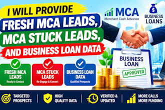 provide fresh mca leads, mca stuck leads, and business loan data