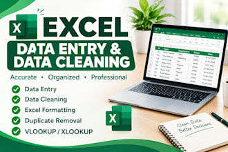 do data entry, formulas, formatting and data cleaning