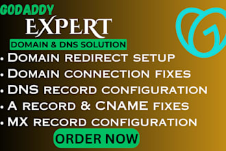 fix website hosting godaddy domain record issues redirect domain transfer errol