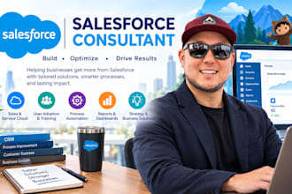 provide salesforce strategy and implementation consulting