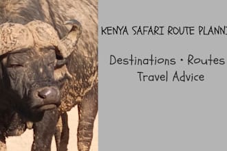 help you choose the best kenya safari routes
