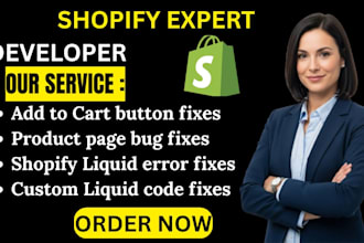 fix bug shopify checkout payment cart product liquid  issue bug fixes cart issue