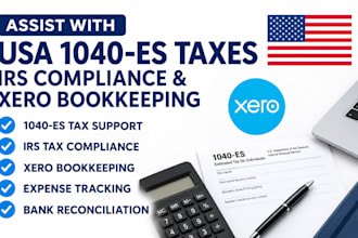 usa 1040 es taxes irs tax compliance xero bookkeeping, expense tracking ad recon