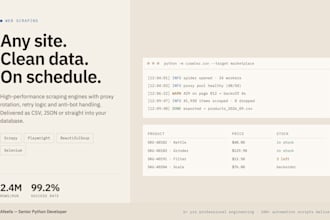 build custom software, web applications, and python scripts