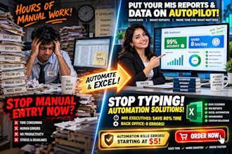 automate repetitive data entry, excel, and mis reports