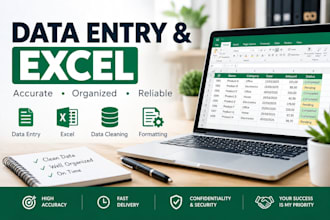 do data entry and excel spreadsheet work